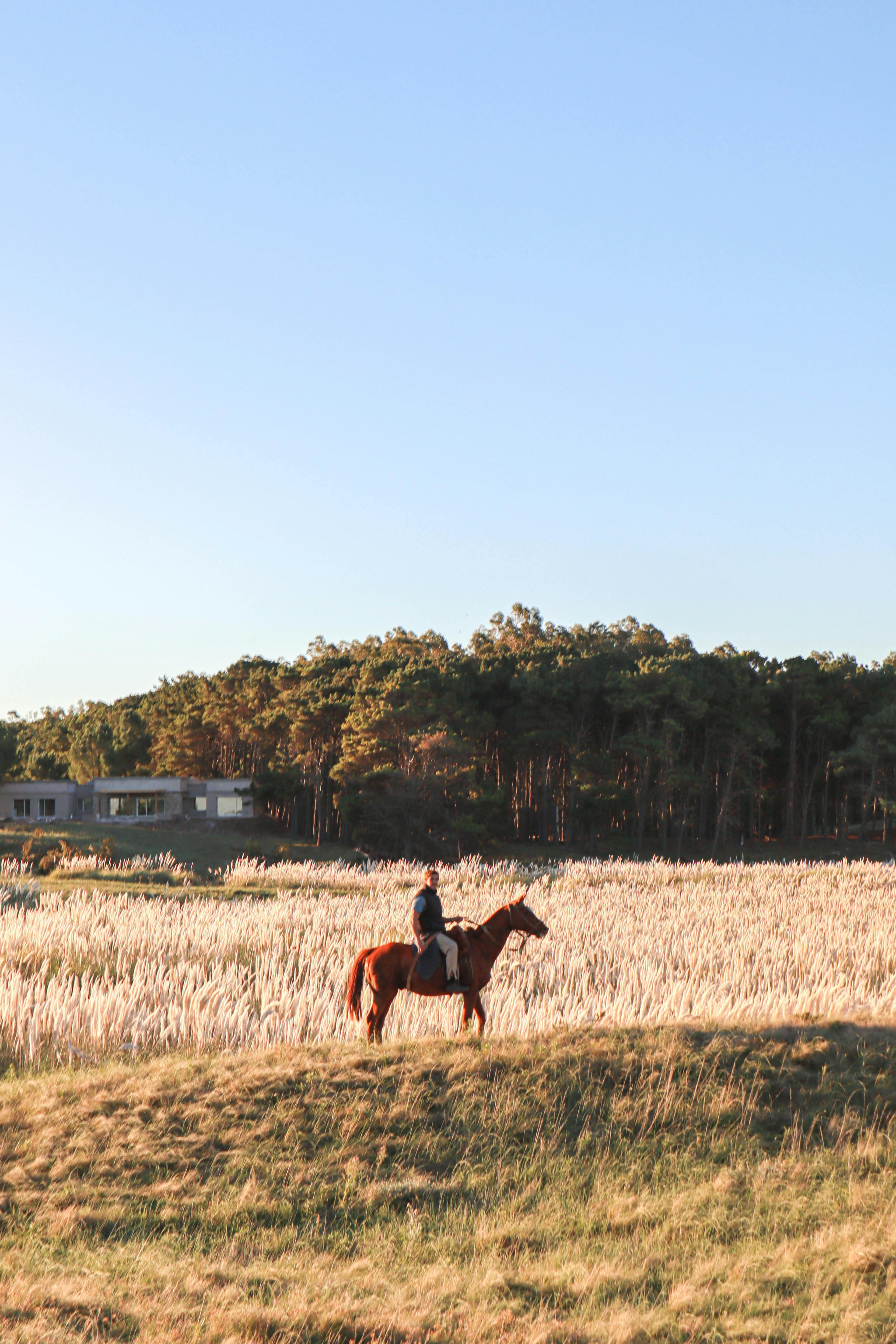 Riding together on Farmshare