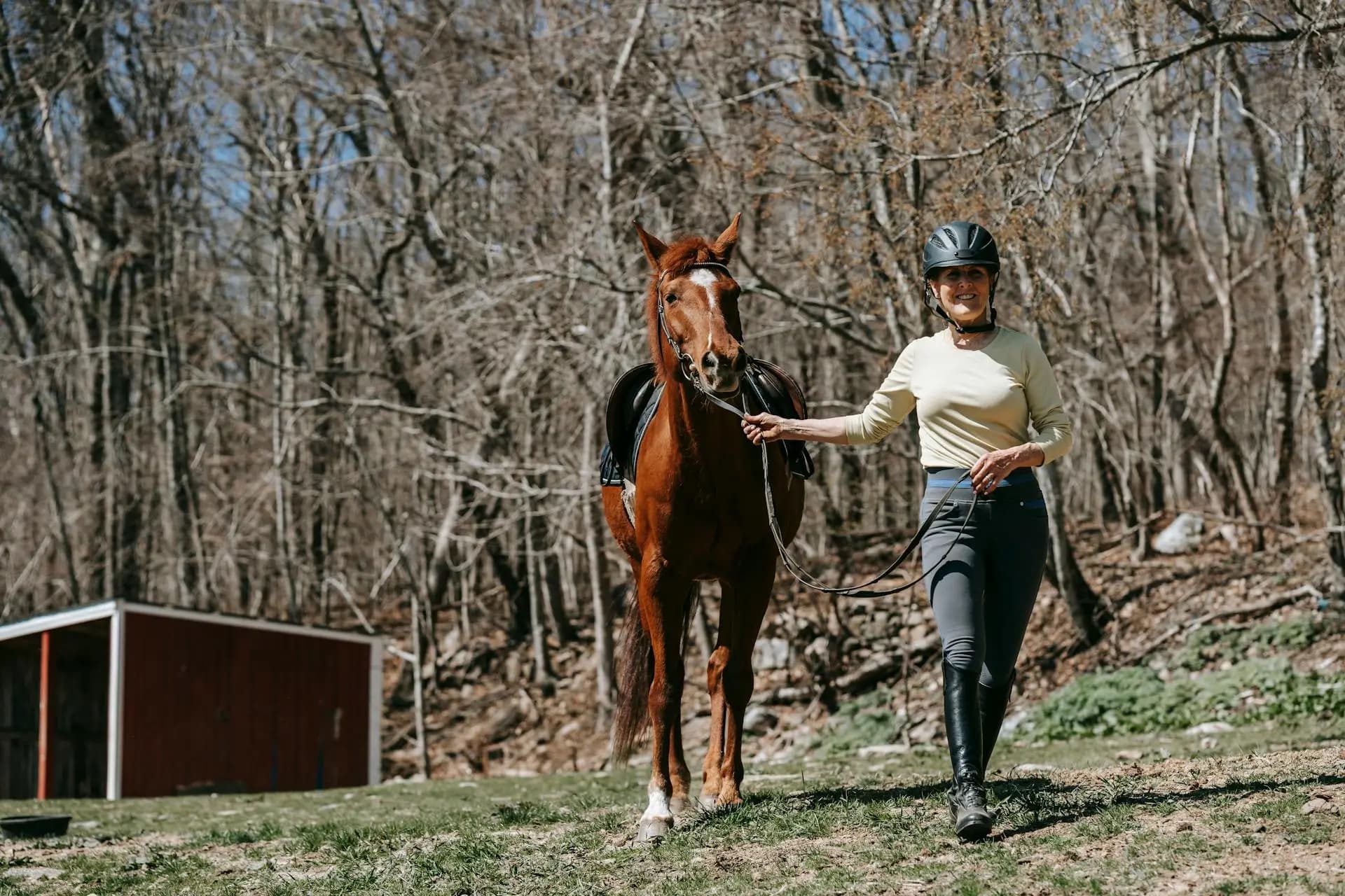 Cover image for Horse Lunging Explained: Purpose, Benefits, and How to Lunge Your Horse