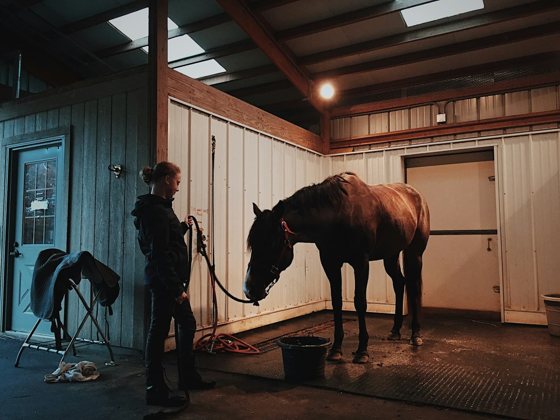 Cover image for Navigating Horse Agistment in Australia: Costs, Services, and What to Look For