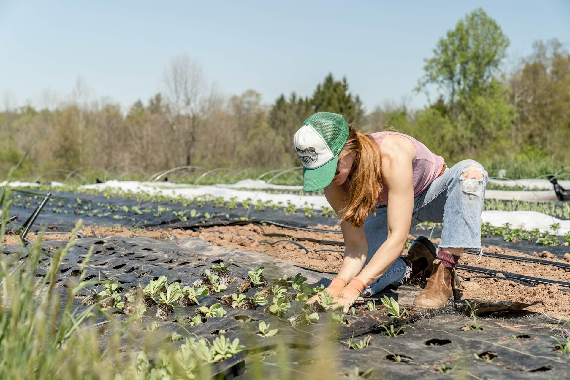 Cover image for Sustainable Agriculture in Australia: Practices, Challenges, and Economic Impact