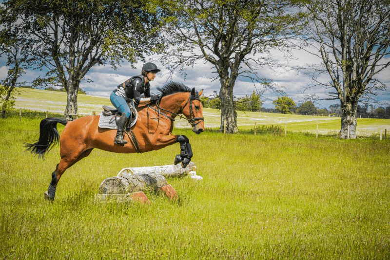Thumbnail 4 of Valery Horse Stayz