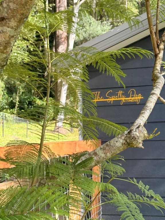 Thumbnail 3 of Boutique Horse Stay at The Spotty Dog