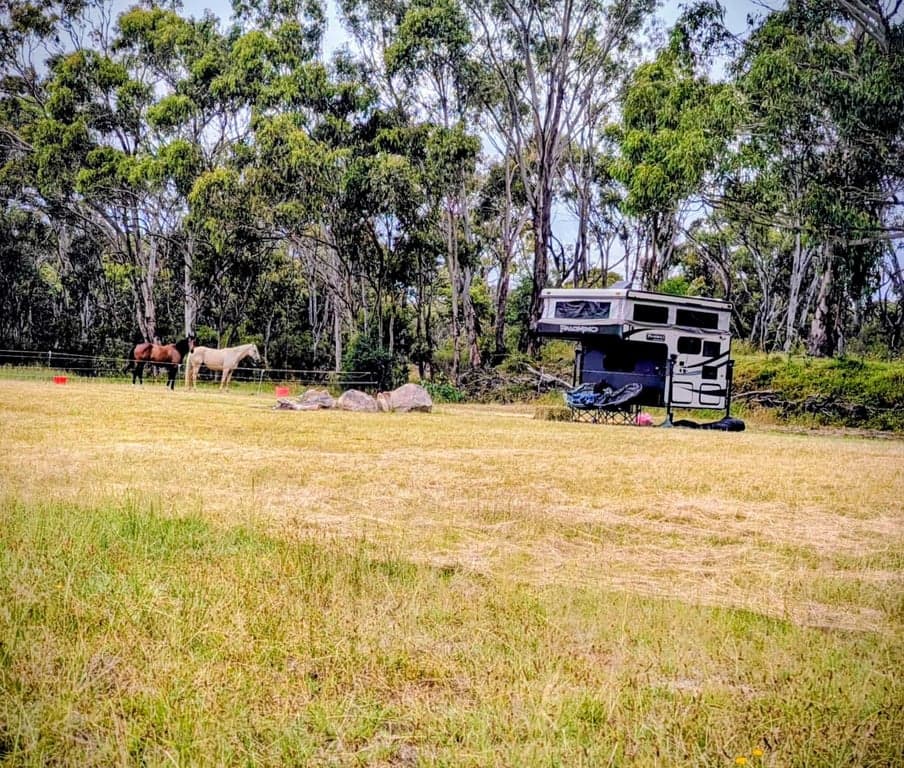 Thumbnail 3 of Donnellys Castle Bush & Horse Paddock Camping
