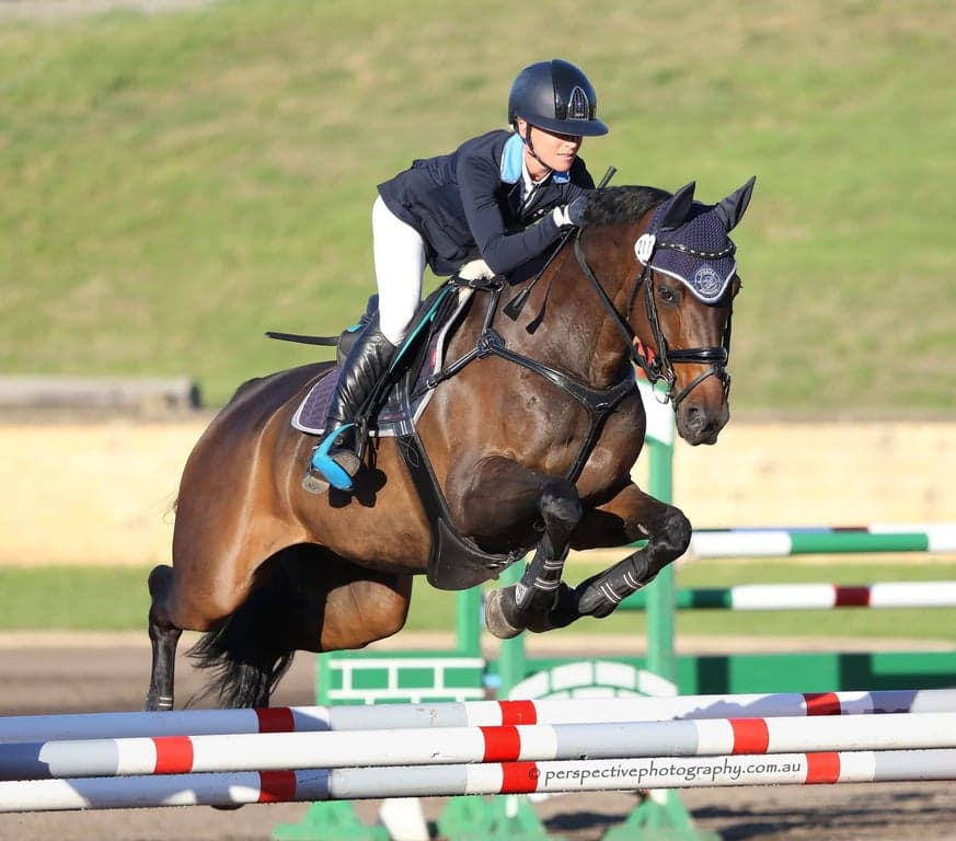 Thumbnail 7 of Equine Photography
