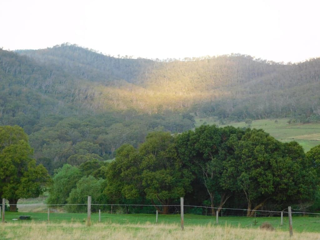 Thumbnail 5 of Bring your own horse, access to wonderful trail rides