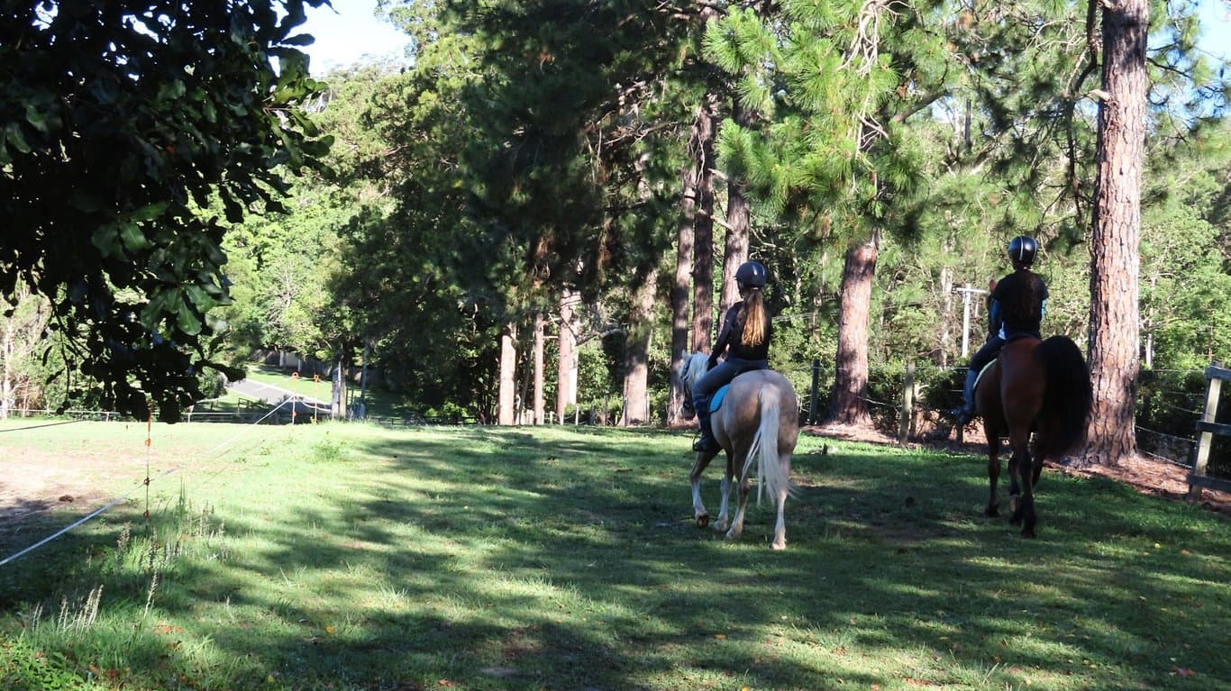 Horse Agistment at Private paddock available NOW for 1 horse, Forest Glen, QLD (photo 3)