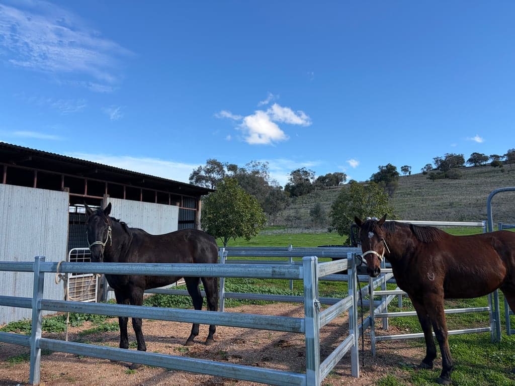 Thumbnail 9 of Inering Mullaley Farmstay