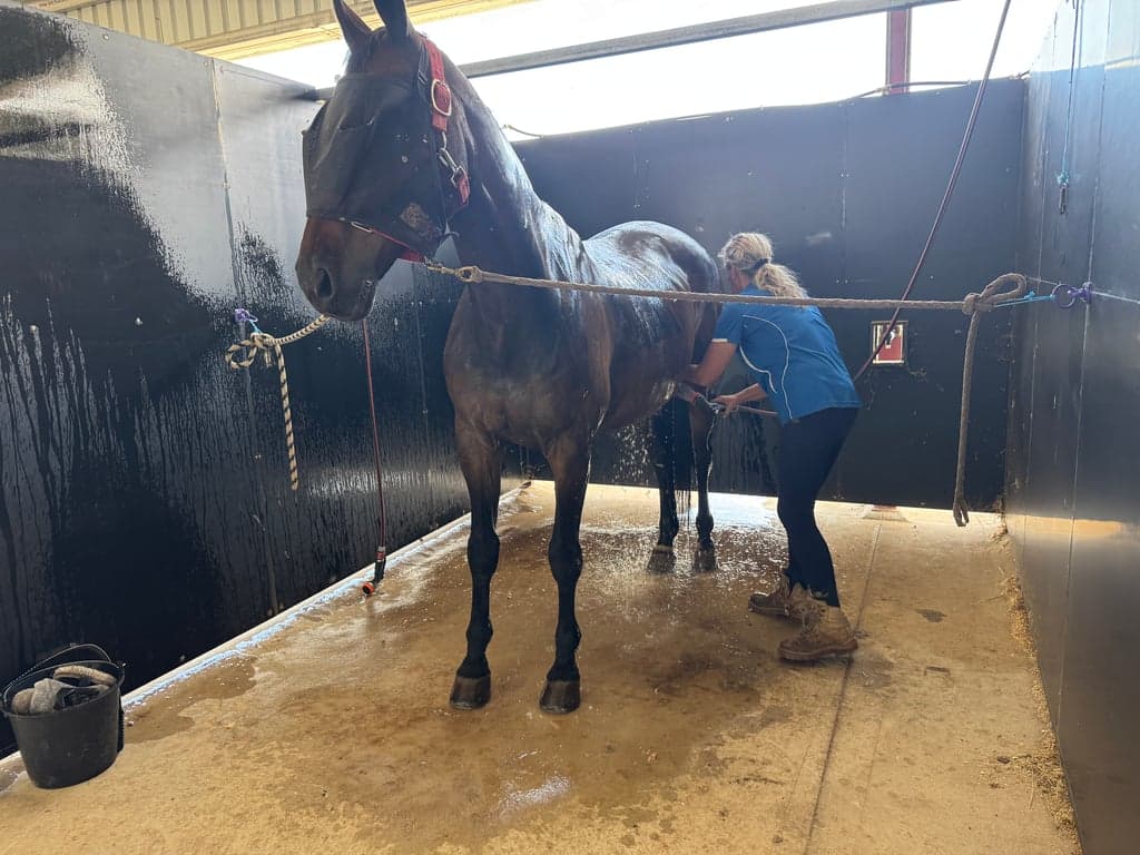 Thumbnail 3 of Equestrian facilities for lessons, clinics or short stays