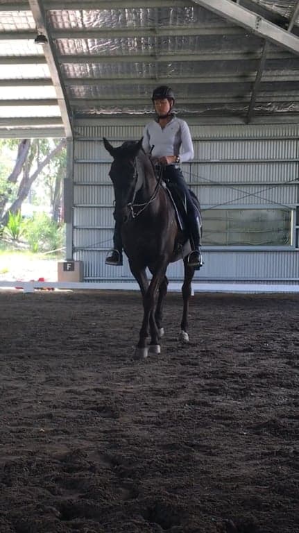 Thumbnail 7 of Balanced Lessons for Horse & Rider