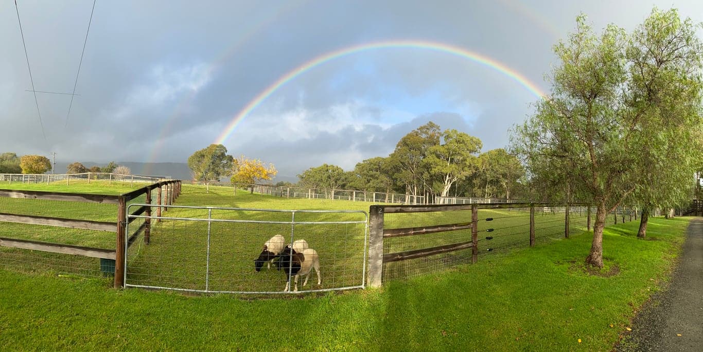 Thumbnail 3 of Malolo Park Farmstay in the Watagans
Hunter valley