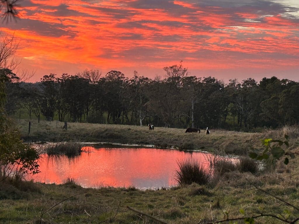 Thumbnail 8 of Hidden Brook Stays perfect for you and your horse!