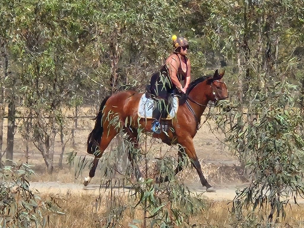 Photo of Quiet, calm environment for horse & human stays