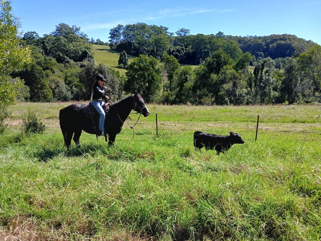 Thumbnail 6 of Homeville Horse Camp
Farmstay