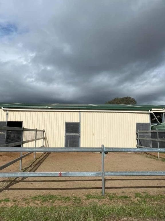 Vellara equine full board agistment, Murrumbateman, NSW (photo 5)