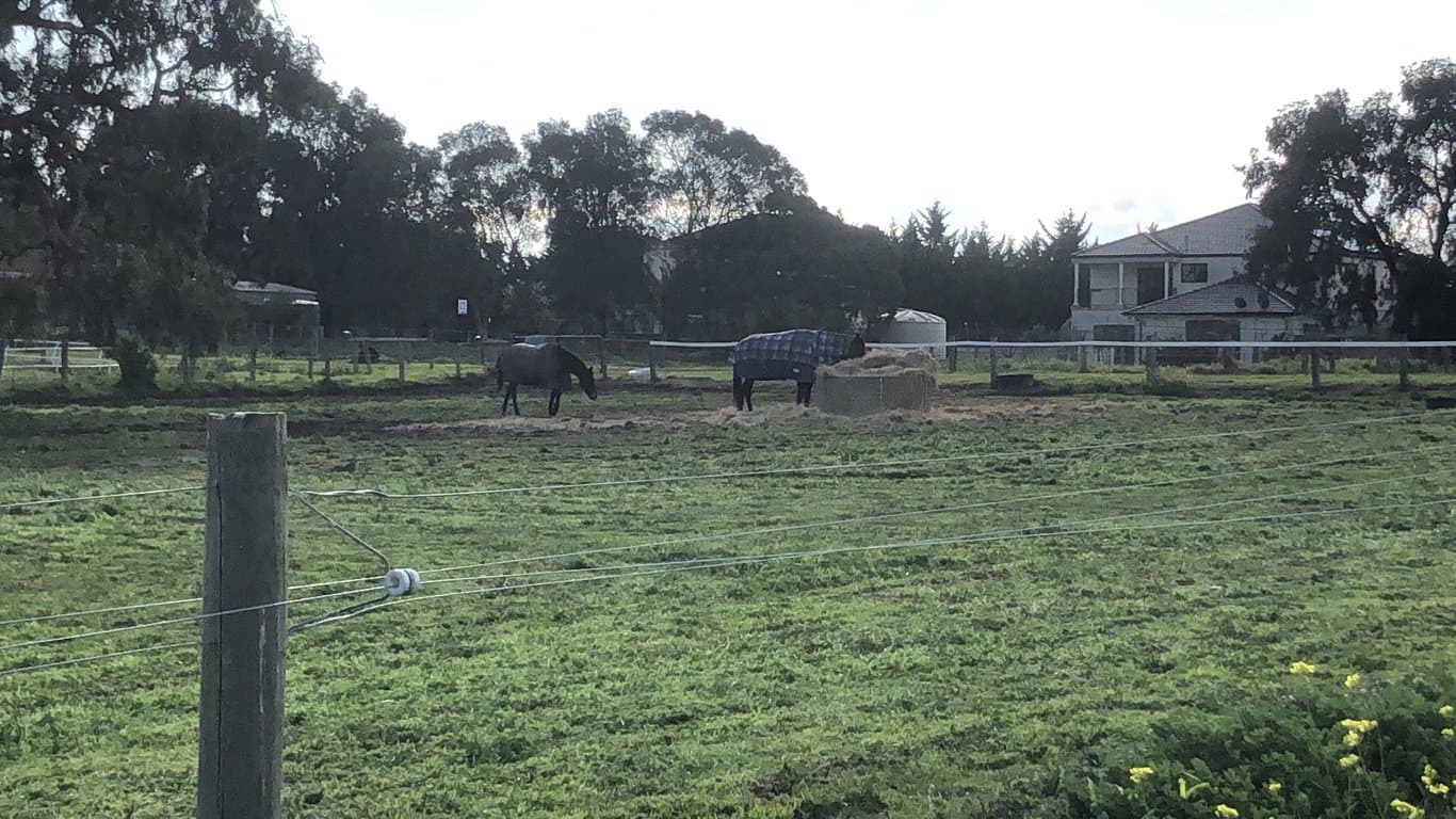 Amazing close to city Melbourne Boutique Horse Agistment, Greenvale, VIC (photo 9)