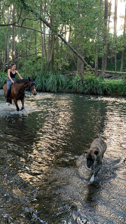 Thumbnail 3 of Ubuntu Horse & Farm Stay in Tallebudgera