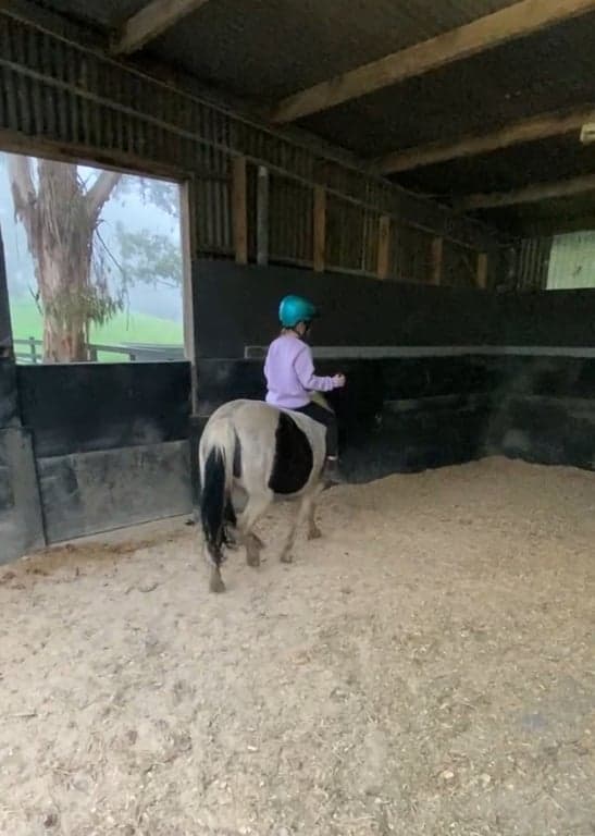 Thumbnail 2 of Nature's Revival Horse Stays