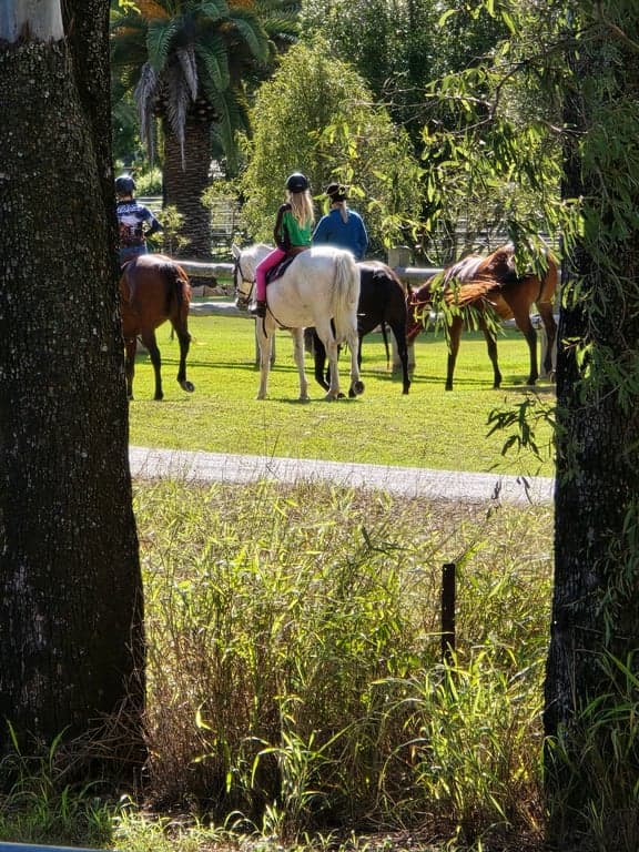 Thumbnail 10 of No Fuss Horse Stay