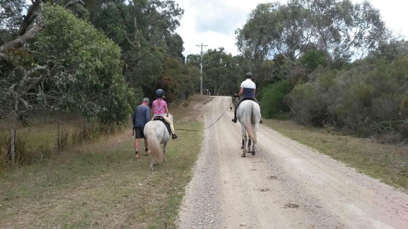 Horse Agistment at Howards Hill, Boneo, VIC (photo 7)