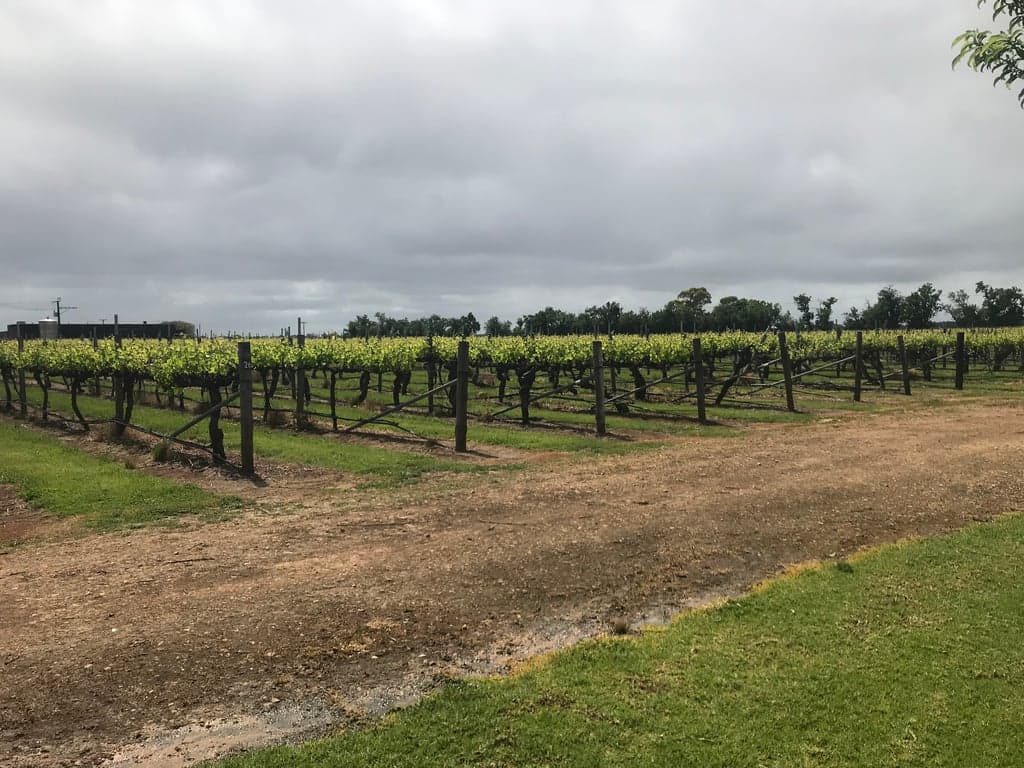 Farm Stay at Equestrian adventure in the charming Coonawarra wine region, Penola, SA (photo 9)
