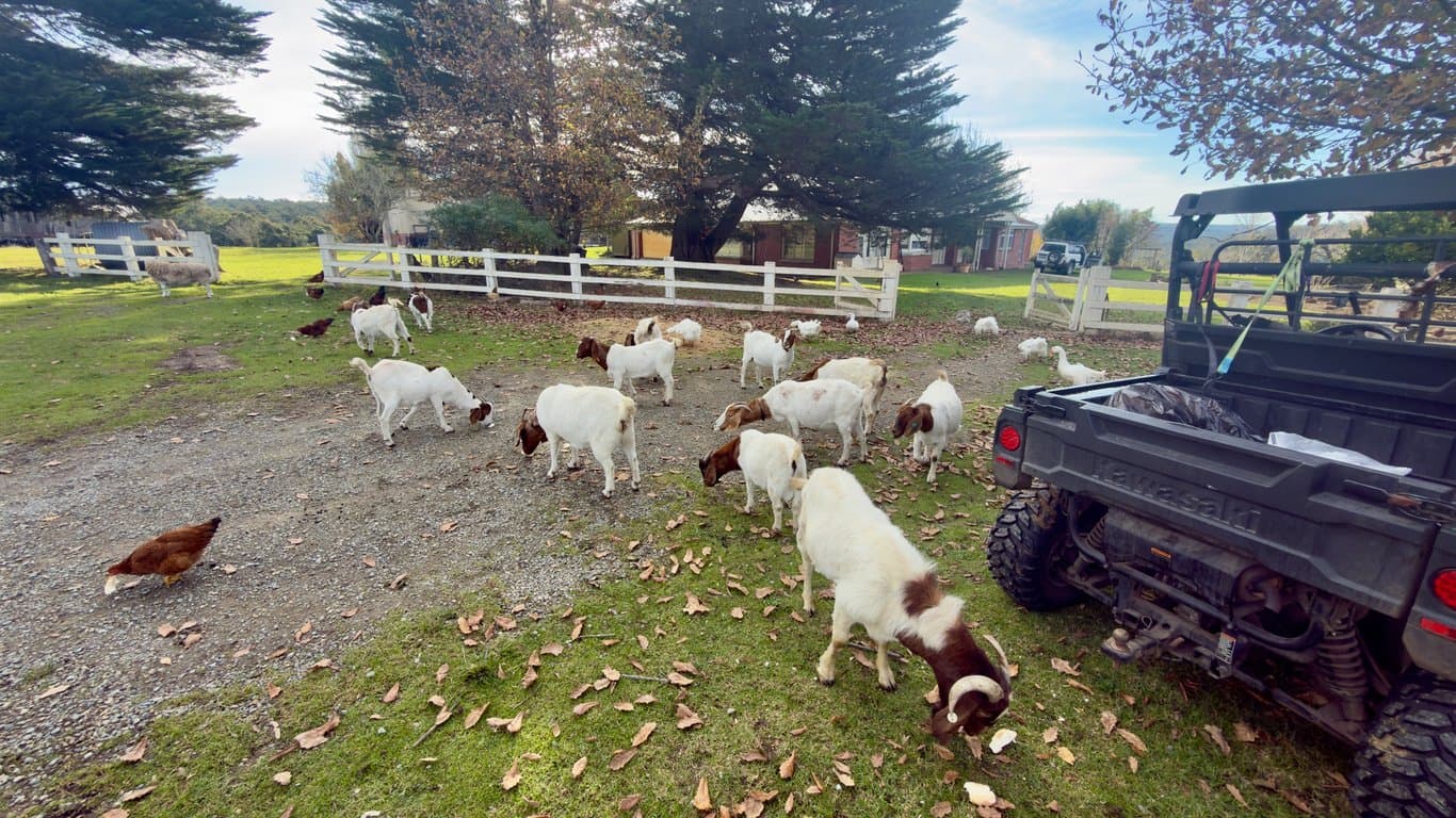 Farm Stay at 400 Acres of Pure Nature, Peace & Tranquillity, Toorloo Arm, VIC (photo 7)