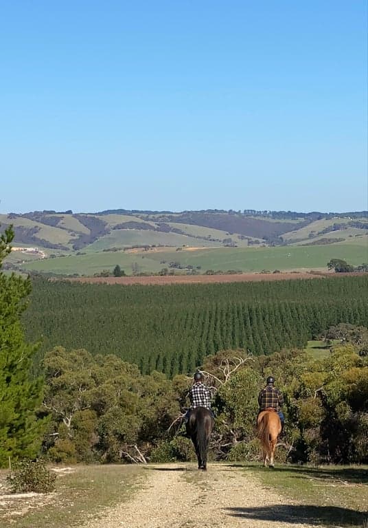 Luxury Equestrian Farmstay | Bring Your Horse to Merilli1885, Currency Creek, SA (photo 9)