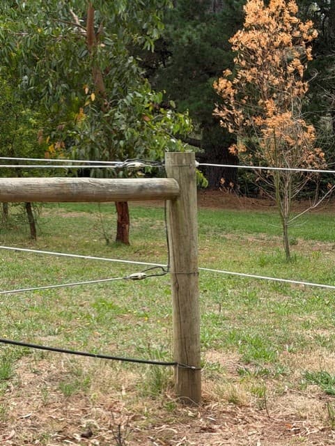 Thumbnail 4 of Luxury Retreat for Humans & Horses-Villa 1