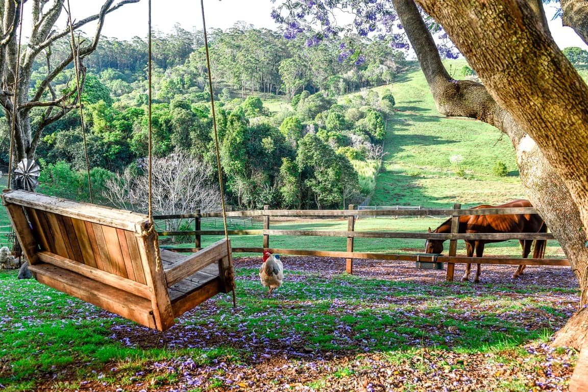 Farm Stay at Stay 'n' Ride at Doomben Ridge farm House!, Beechmont, QLD (photo 1)