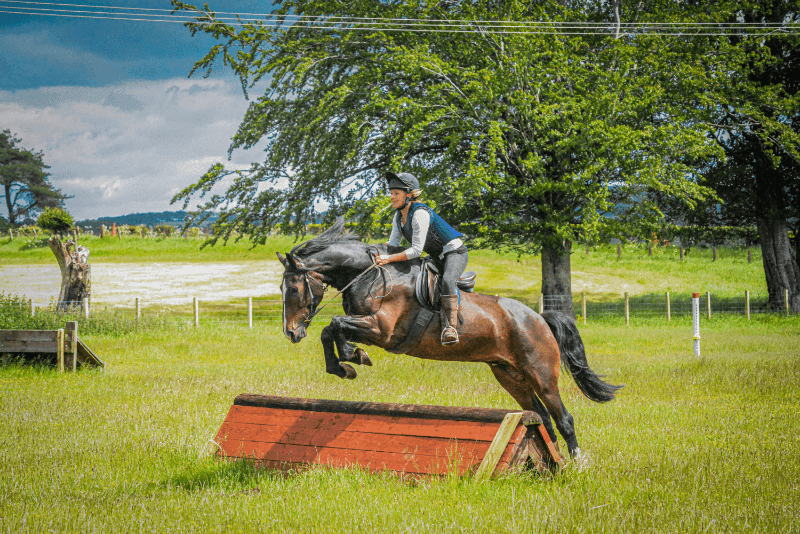 Farm Stay at Valery Horse Stayz (photo 3)