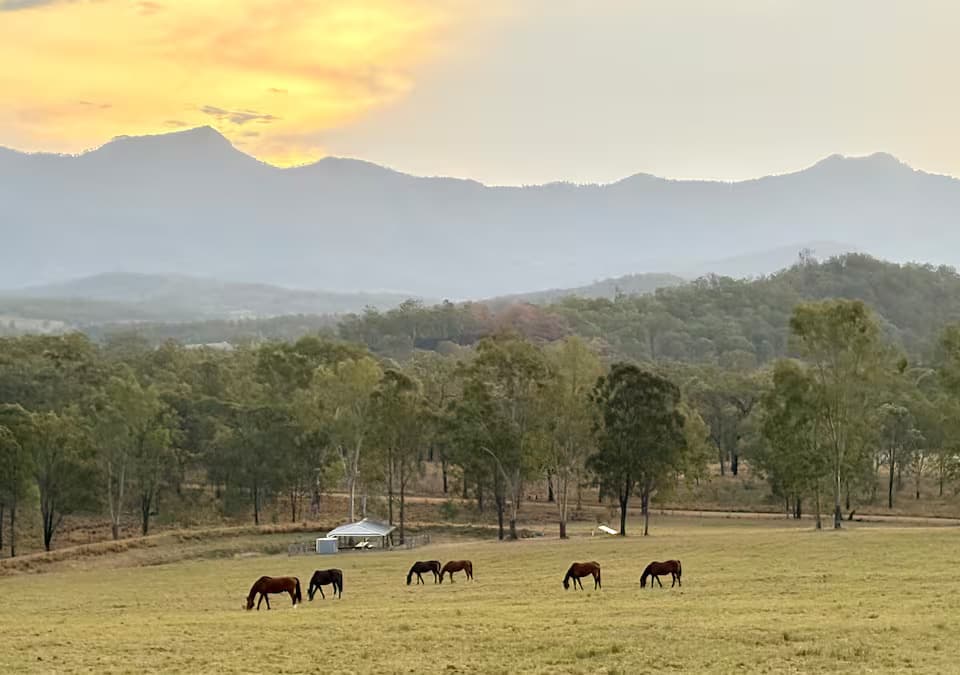 Farm Stay at Mountain views on the national trail, Moogerah, QLD (photo 5)