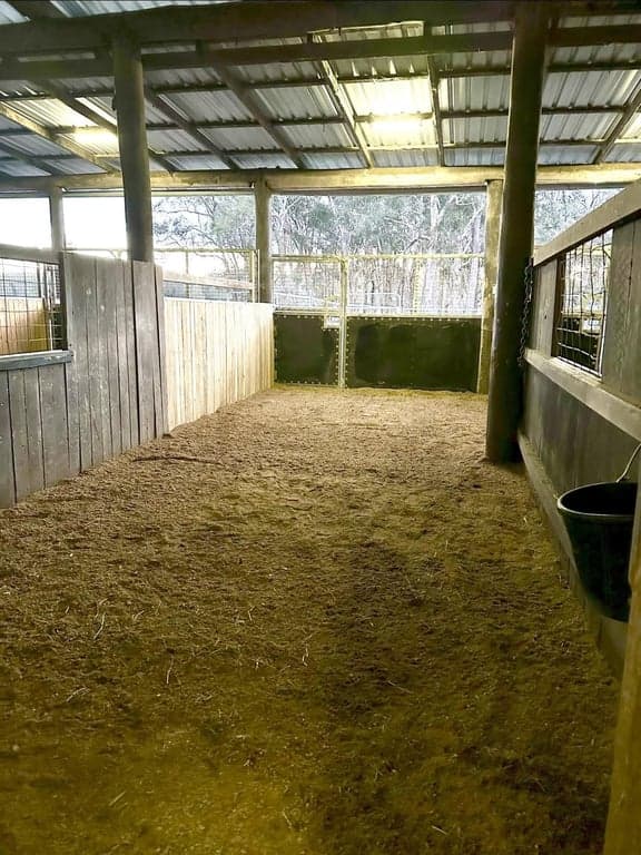 Thumbnail 10 of Butterfly Cabins overnight or holiday stay with your horses