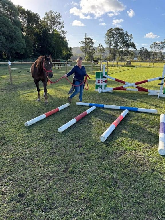 Horse Agistment at Private paddock available NOW for 1 horse, Forest Glen, QLD (photo 2)
