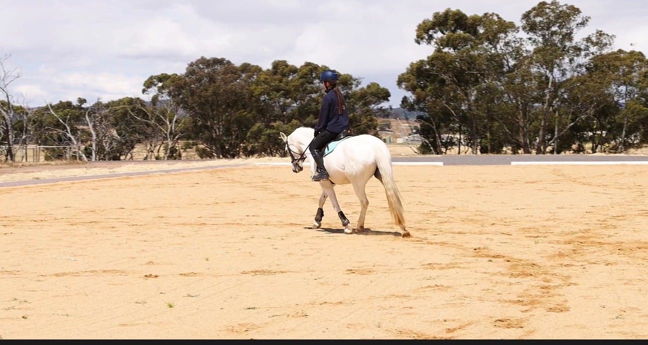 Thumbnail 9 of Equestrian Short Stay - Train, Stay & Ride in Central Vic