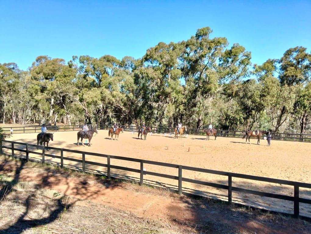 Thumbnail 3 of Molyullah Equine - camping & yards, obstacles & arena