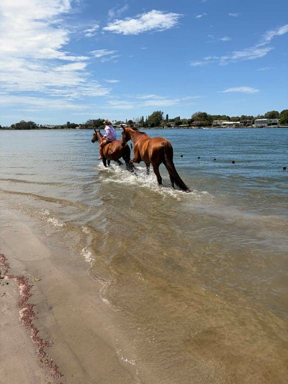 Photo of Riverside accommodation for people & horses