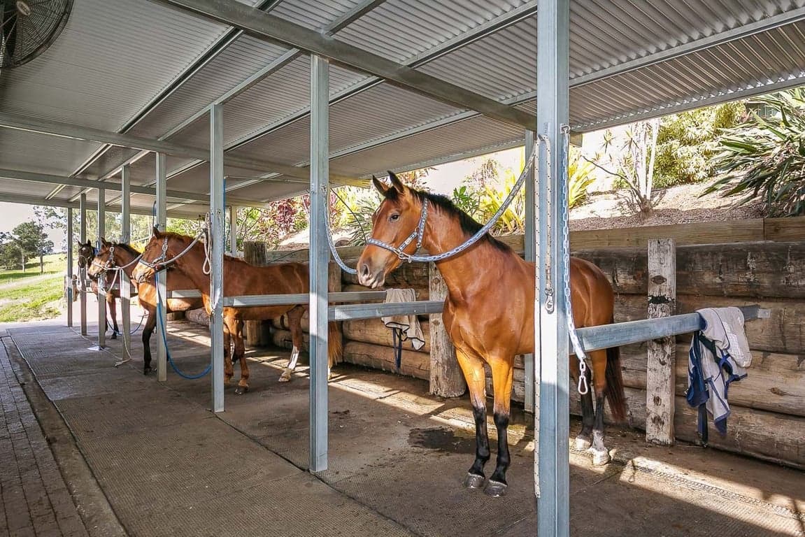 FULL CARE AGISTMENT AVAILABLE WITH FIRST CLASS FACILITIES, Biddaddaba, QLD (photo 2)