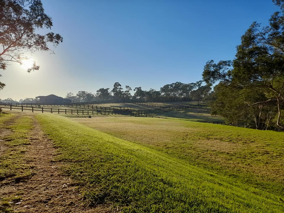 Farm Stay at Stunning Gracelands Equestrian Glenorie - Short Term Stay (photo 3)