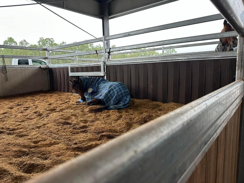 Thumbnail 4 of Stay at a Working Equestrian Centre