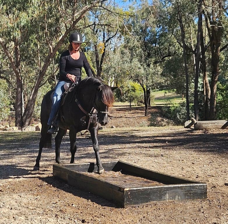 Thumbnail 9 of Molyullah Equine - camping & yards, obstacles & arena