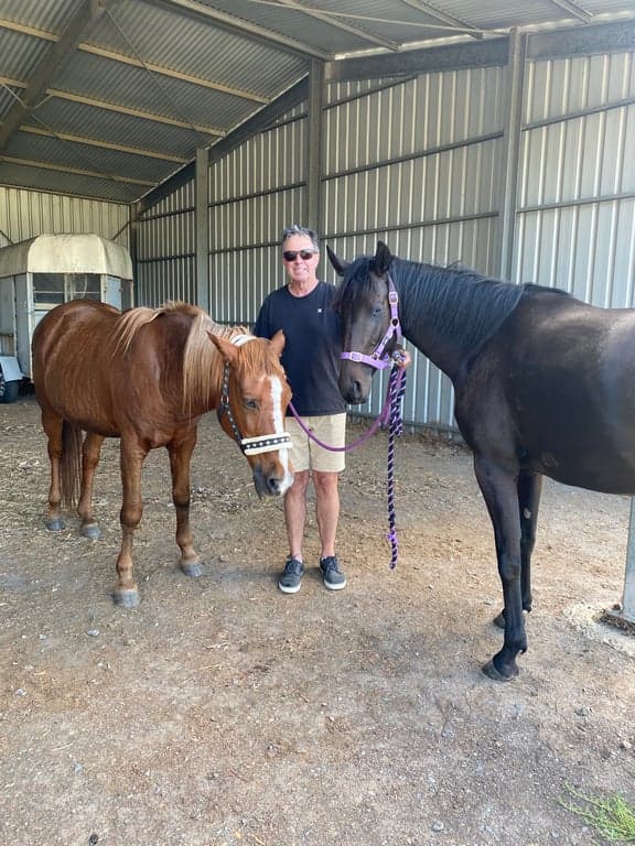 Horse Agistment at Horses Home among the gumtrees, 1310 Inman ValleyRoad   Inman Valley 5211, SA (photo 8)