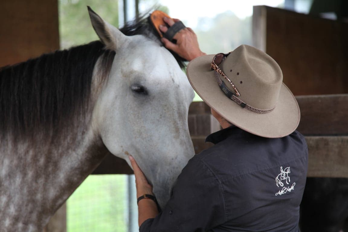 Thumbnail 8 of Balanced Lessons for Horse & Rider