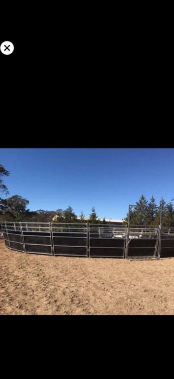 Dungog/ Paterson Farmstay comfy for both you & your horses, Wallarobba, NSW (photo 3)