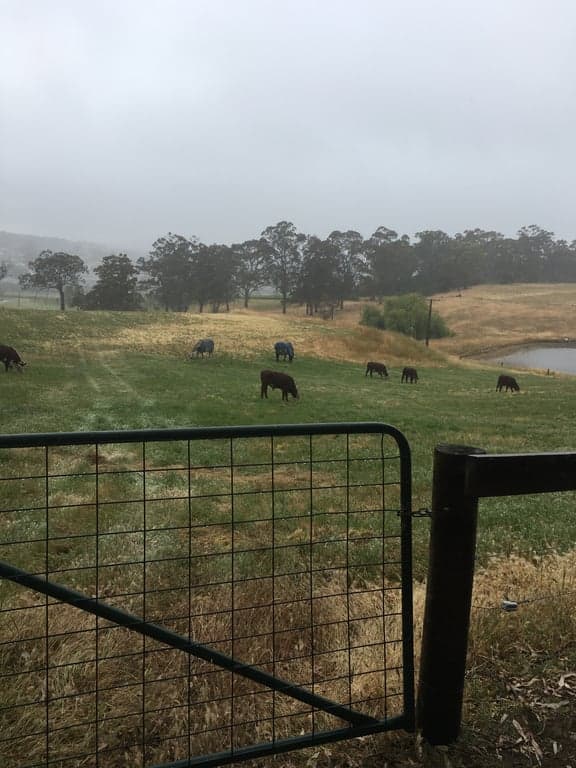 Thumbnail 8 of Adelaide Hill spring board experience