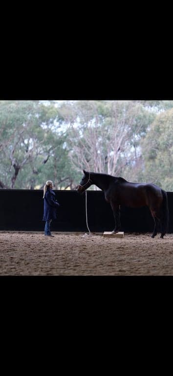 Equestrian Short Stay - Train, Stay & Ride in Central Vic, Lockwood South, VIC (photo 2)