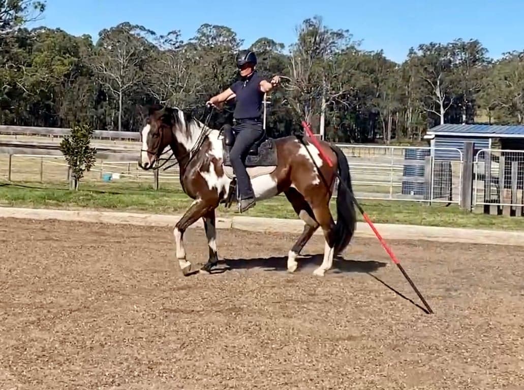 Thumbnail 4 of Balanced Lessons for Horse & Rider