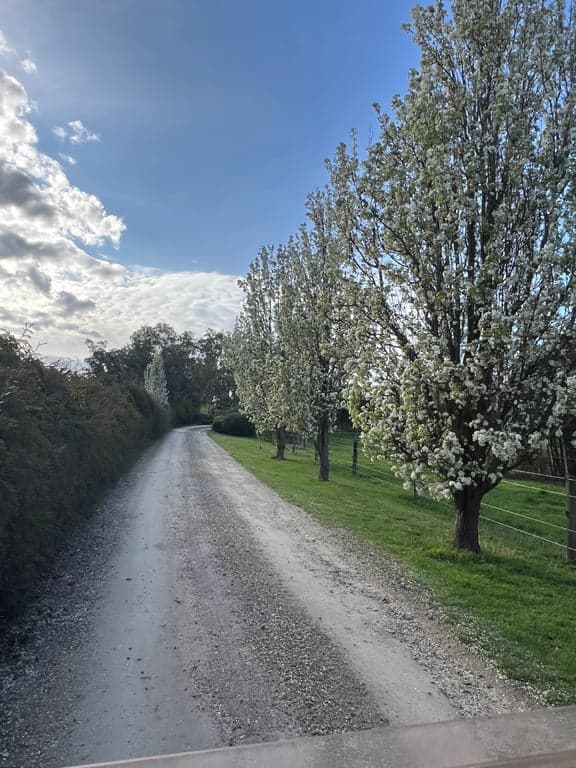 Thumbnail 6 of Ride own horse on Great Southern Rail Trail and stay in Tiny