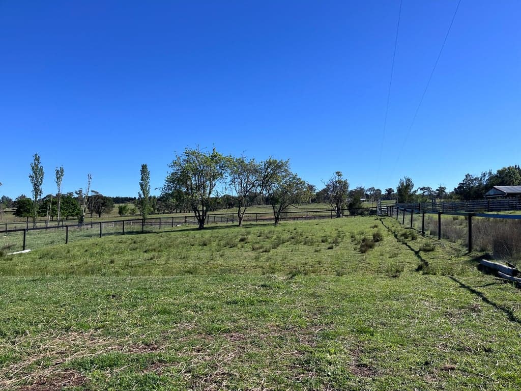 Farm Stay at The Workmans Cottage, Mandemar, NSW (photo 4)