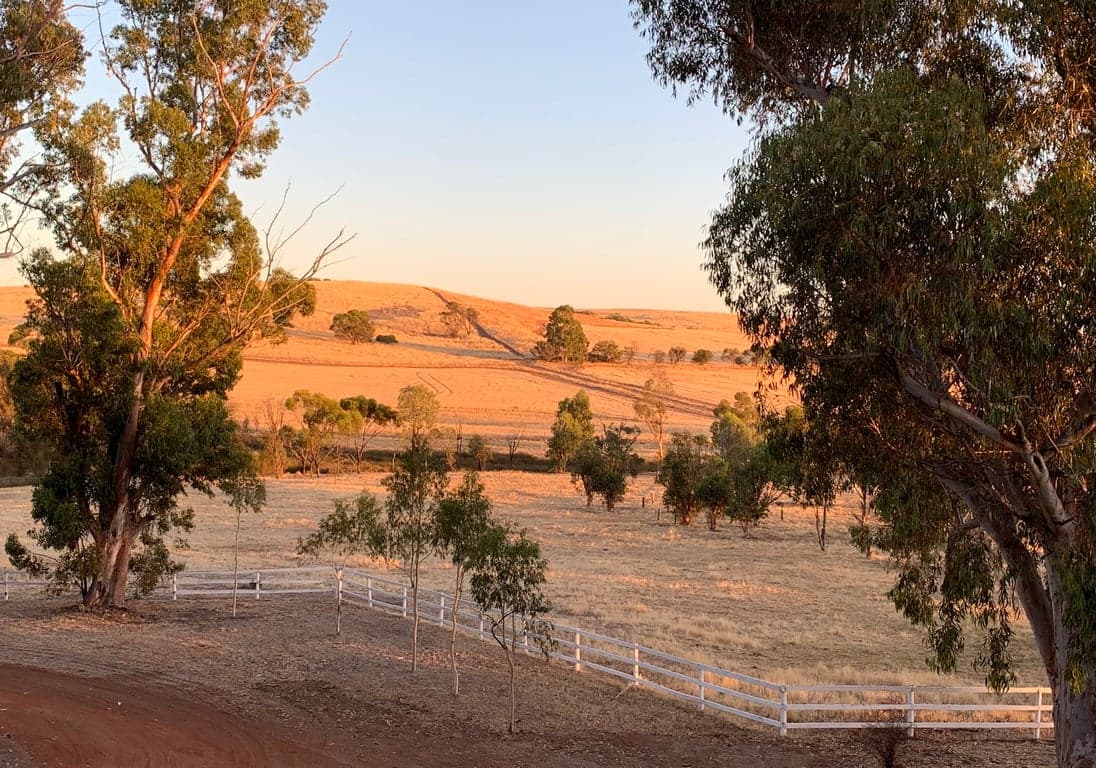 Thumbnail 4 of Accommodation available with space for your horses