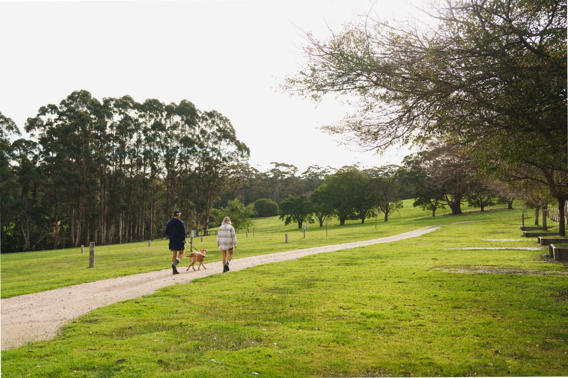 Horse-Friendly Farm Stay in Margaret River, Rosa Glen, WA (photo 6)