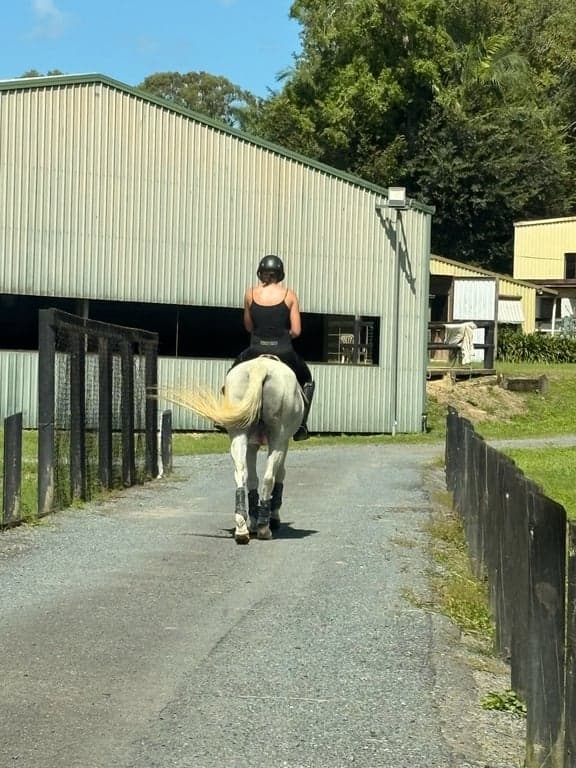 Thumbnail 7 of Ubuntu Horse & Farm Stay in Tallebudgera